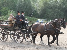 IMG_1189_web